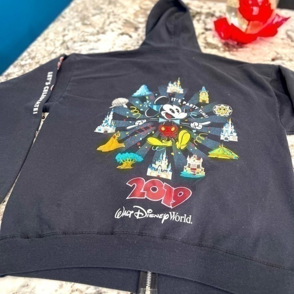 Walt Disney World 2019 Hoodie men’s size L